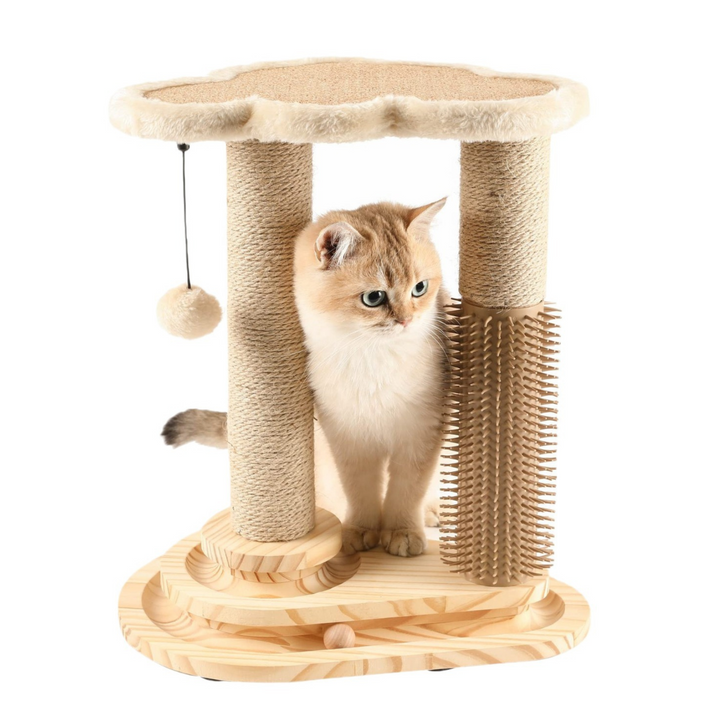 Kattenkrabpaal
